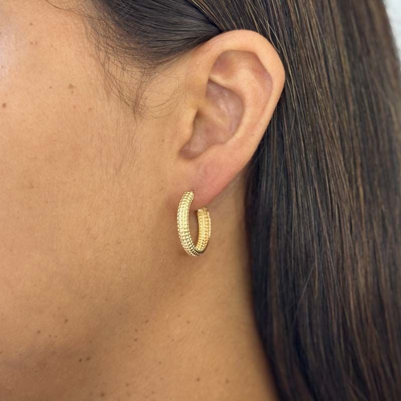 Brinco de Argola 2,0cm Detalhado Folheado a Ouro 18k